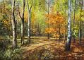 Jesien_w_lesie_02