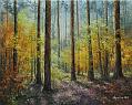 Jesien_w_lesie_05